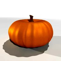 Pumpkin