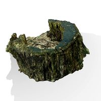 Rotted Tree Stump
