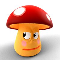 Mushroom boi