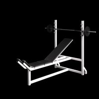Supine and Bench 003