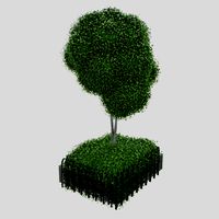City Bush