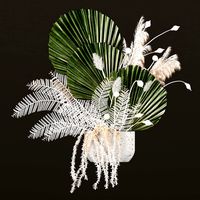 Floweringplants Set05