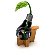 Lamp end sprout