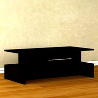 Mahogany Coffee Table