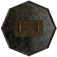 Shield