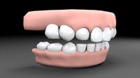 Teeths