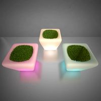 Illuminated Planter 5