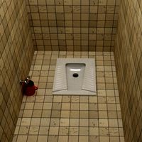 ottoman style WC