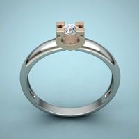 ring horseshoe