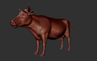 Cow