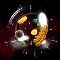 Cell