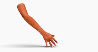 Human arm and nails