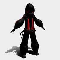 NINJA MODEL