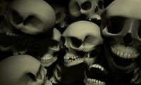 skull