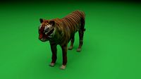 Low Poly Bengal Tiger