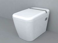 toilet 45