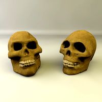 Skull Pair