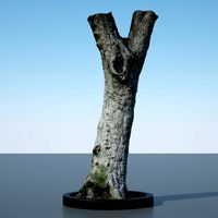Ultra Realistic Tree Trunk