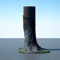 Tree Trunk - 04