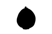 Beetroot