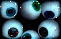 EYE