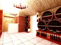PODVAL-Vine Room