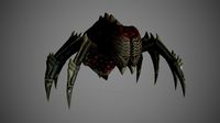 Spider