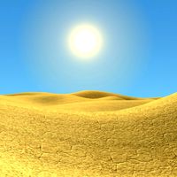 arab desert