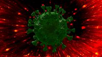 Corona Virus