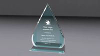 Drop Award glass