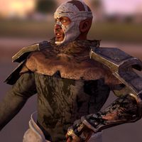 3D Model,warrior