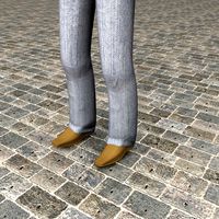 Rigged human Leg