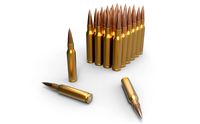Bullet