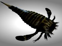 sea scorpion