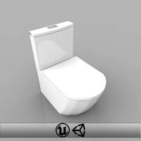 Toilet Bowl