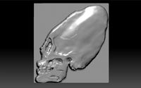 skull
