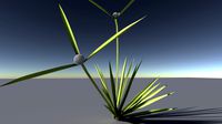 Grass(1)