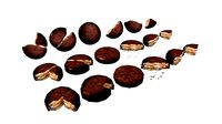 choco snack