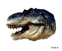 T-Rex