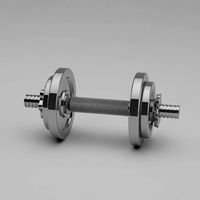 Chrome Dumbbell