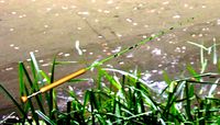 Fishing Fly Rod