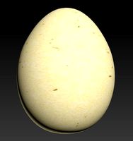 Egg