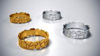 Ring splinters print