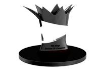 division 3b trophy.max