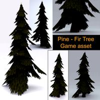 Pine - Fir Tree - Game asset