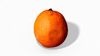 Fruit Orange - Photoscanned PBR