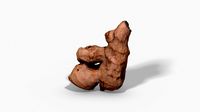 Ginger Root - Photoscanned PBR