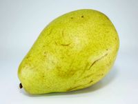 Realistic - Pear