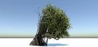 fantasy tree