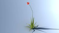 grass(1)